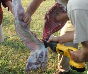 Cutting the Carcass